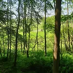 Naturpur Wellnessoase