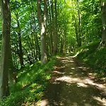 Naturpur Wellnessoase
