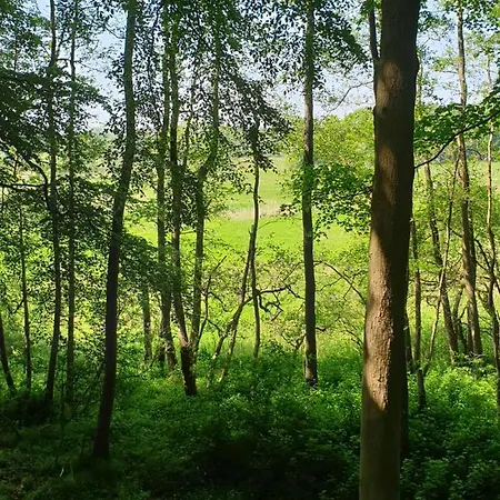 Naturpur Wellnessoase